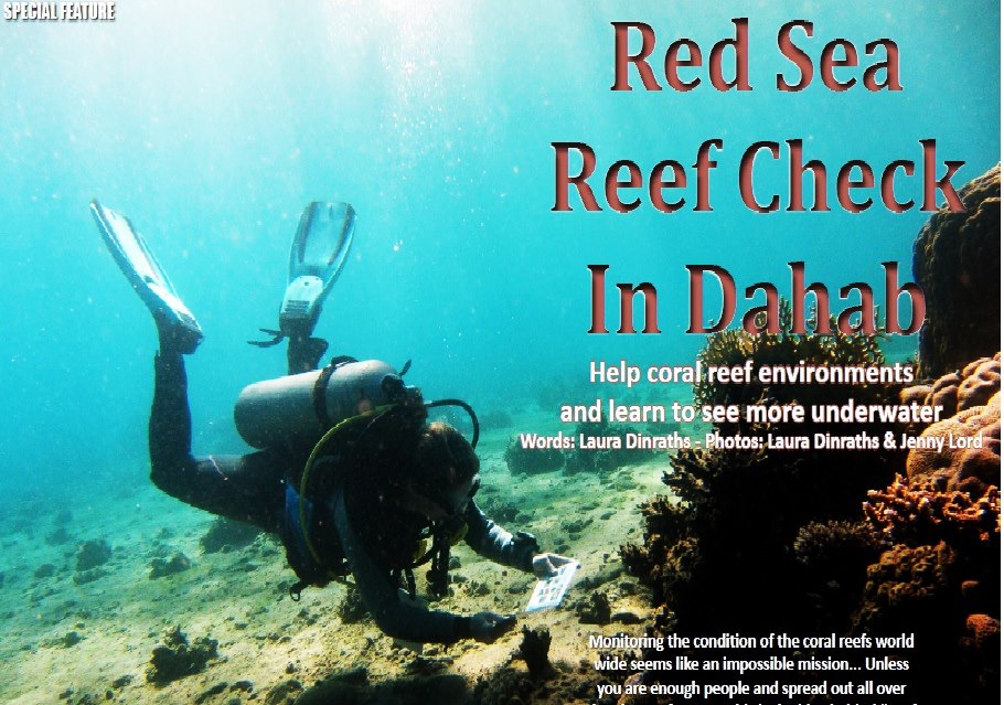Red Sea Reef Check In Dahab