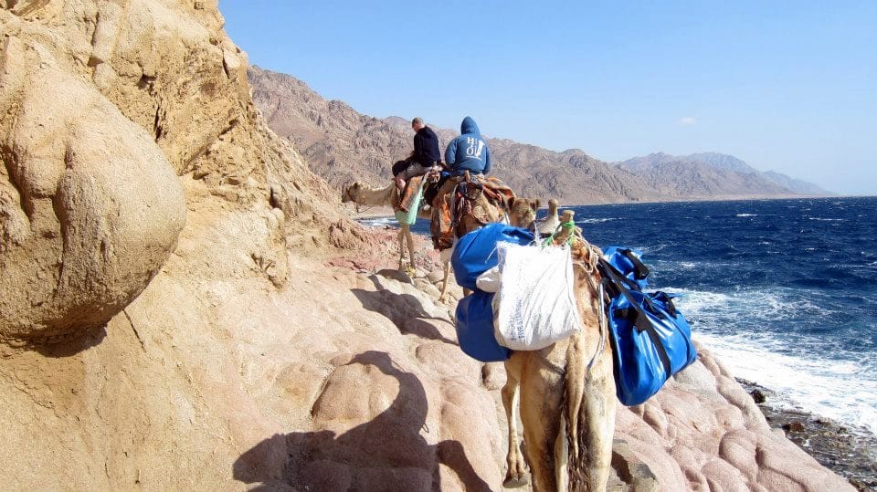 Camel and Diving trip in Dahab