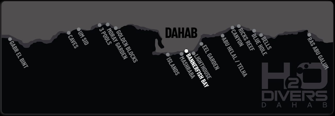 Dahab Dive Sites - Bannerfish Bay