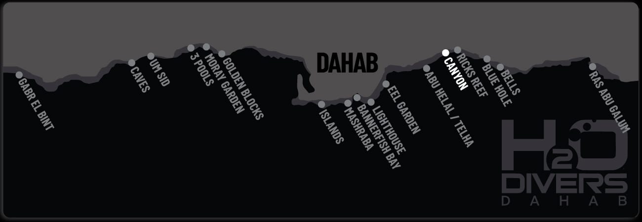 Dahab Dive Sites - Canyon