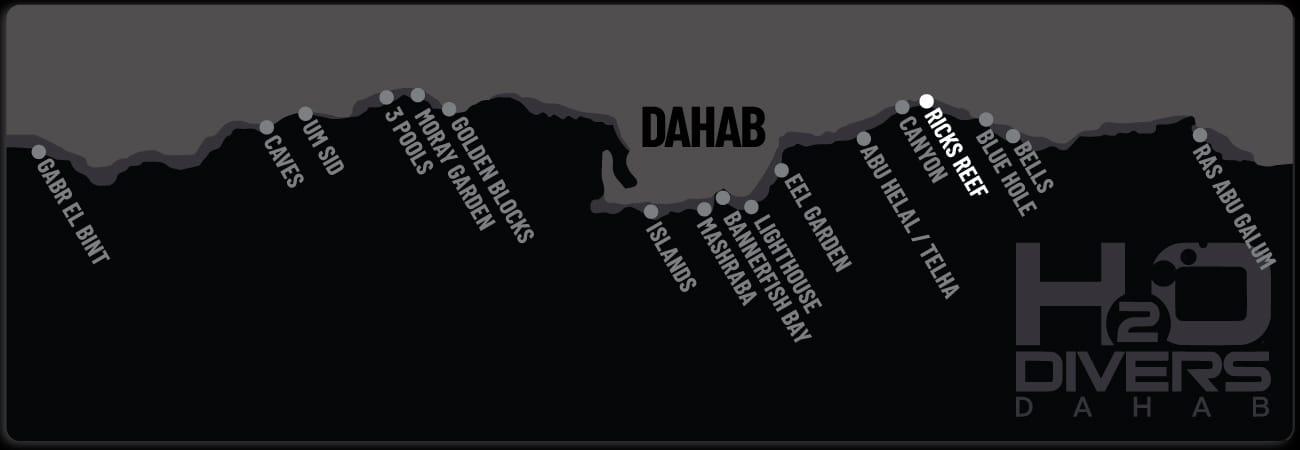 Dahab Dive Sites - Ricks Reef