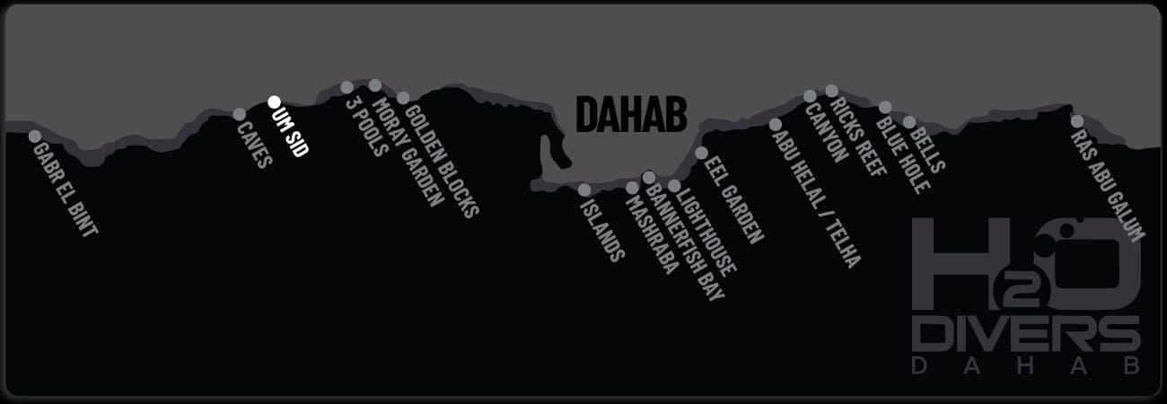 Dahab Dive Sites - Um Sid