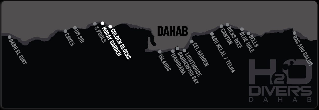 Dahab-Dive-Sites-Southern Oasis