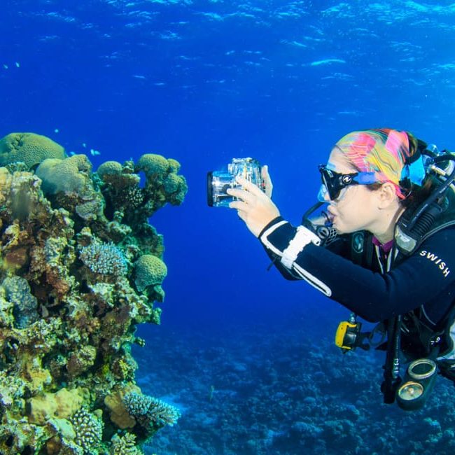 Underwater Photography at Abu Helal, Dahab