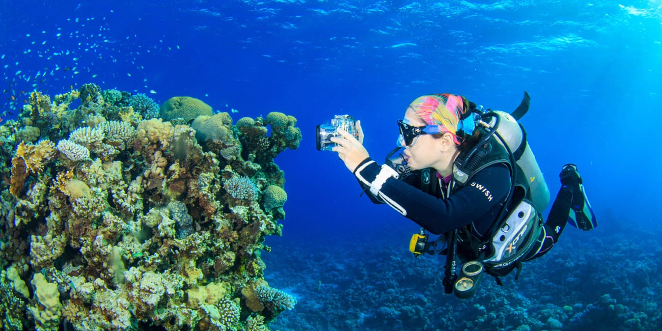 Underwater Photography at Abu Helal, Dahab