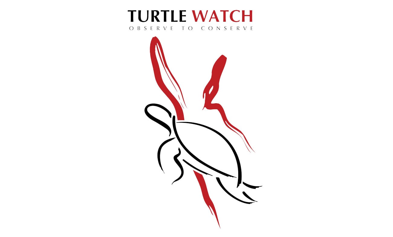 HEPCA Turtle Watch