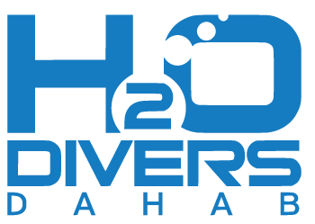 H2O Divers Dahab Logo