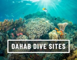 Dahab Dive sites with H2O Divers