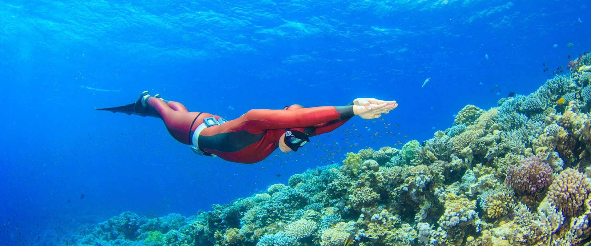 H2O Divers Dahab gallery photo 3